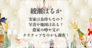 綾瀬はるか 実家 金持ち