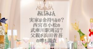 あいみょん 実家 金持ち